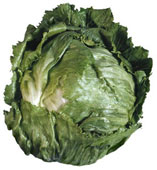 Lattuga croccante
